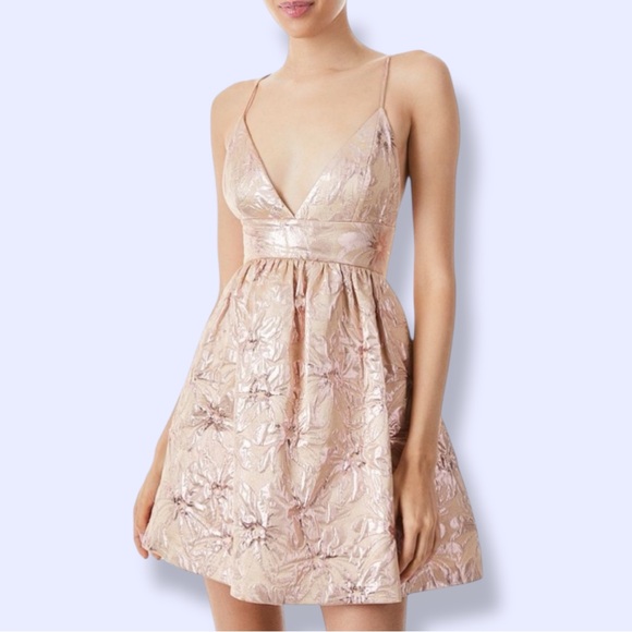 Alice + Olivia Dresses & Skirts - Alice and Olivia Foley Brocade Party Dress